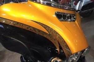 Hog Skins Paint Protection